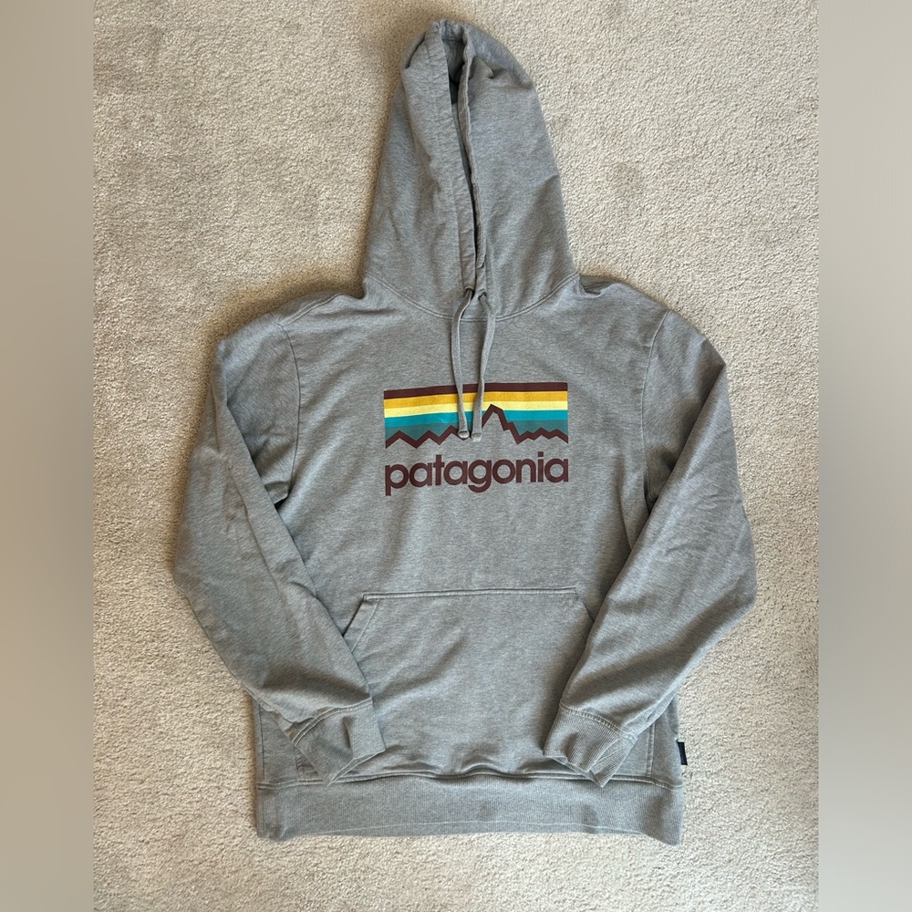 Men's Patagonia Hoodie